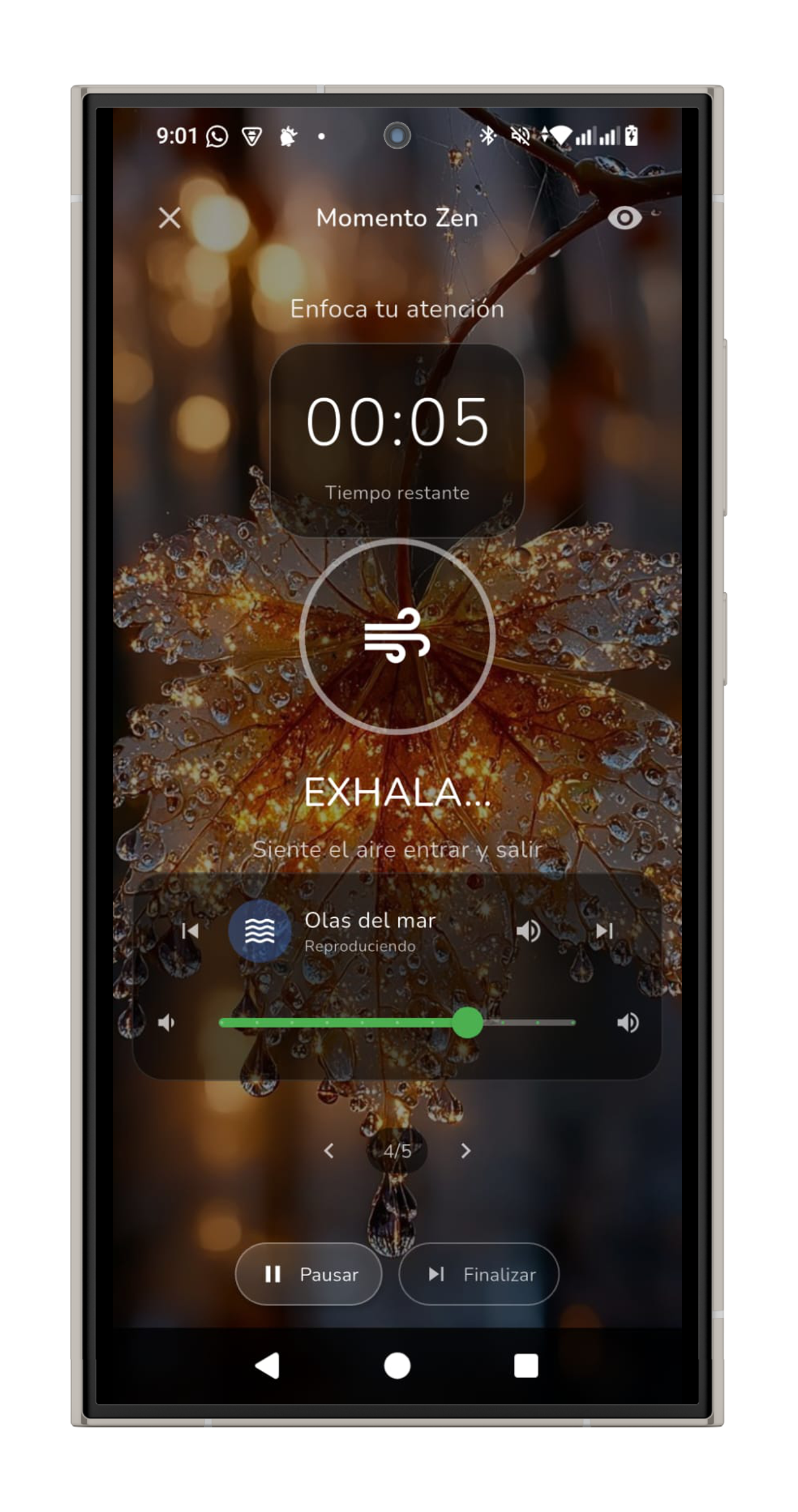 Vista previa de la app Momento Zen en un teléfono