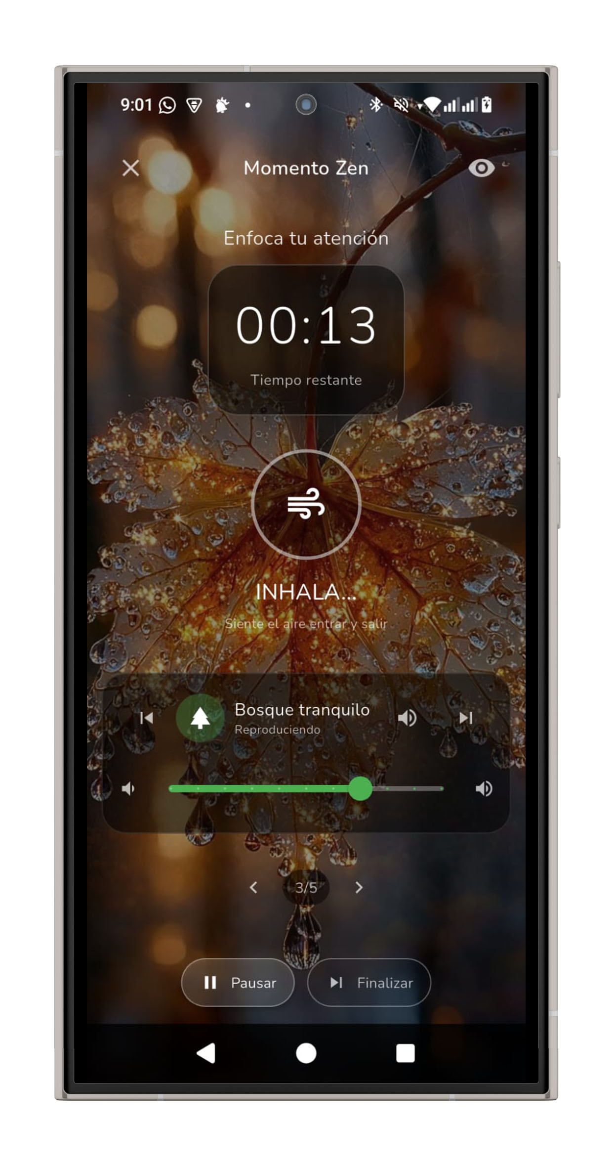 Captura de pantalla: Guía de respiración animada